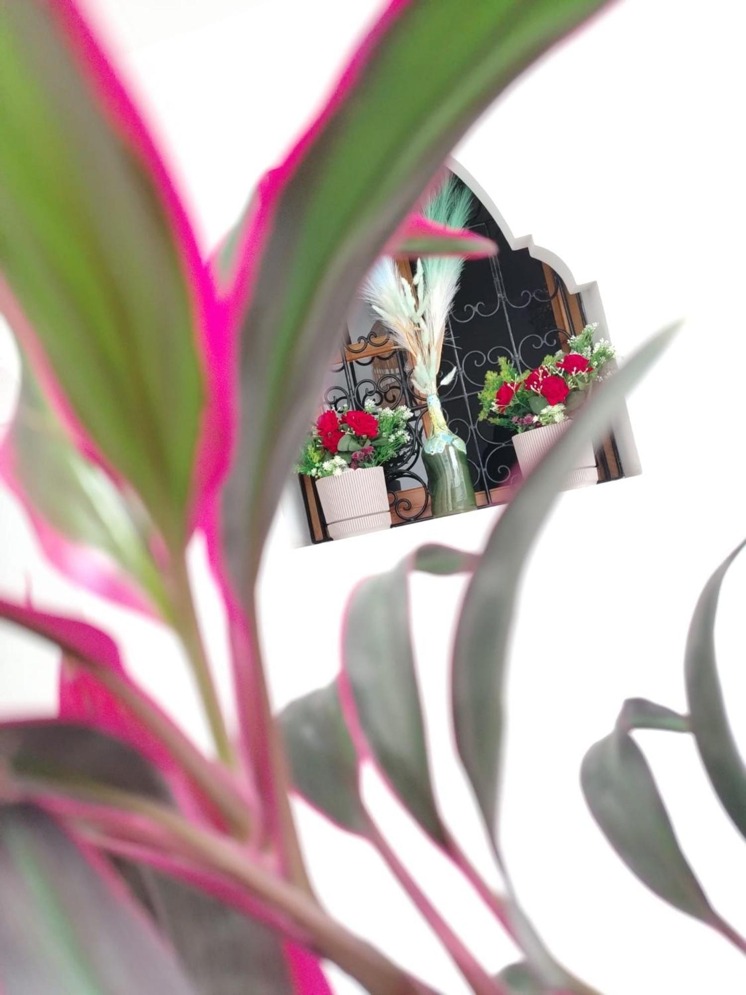 Riad & Spa Sous Le Soleil Chez Jerome & Pamela Suite Essaouira 마라케시 외부 사진